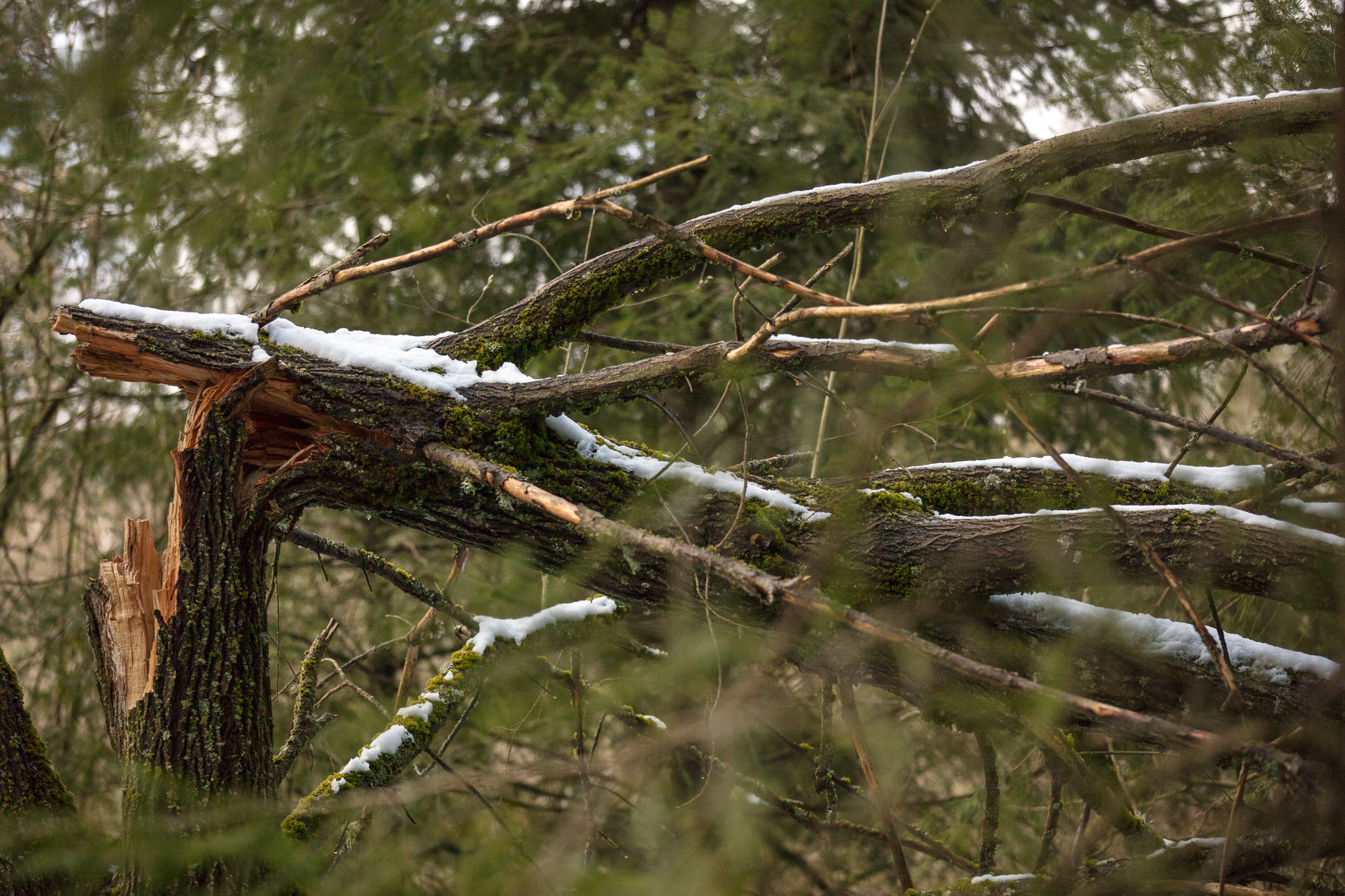 20220409143624 DP013961